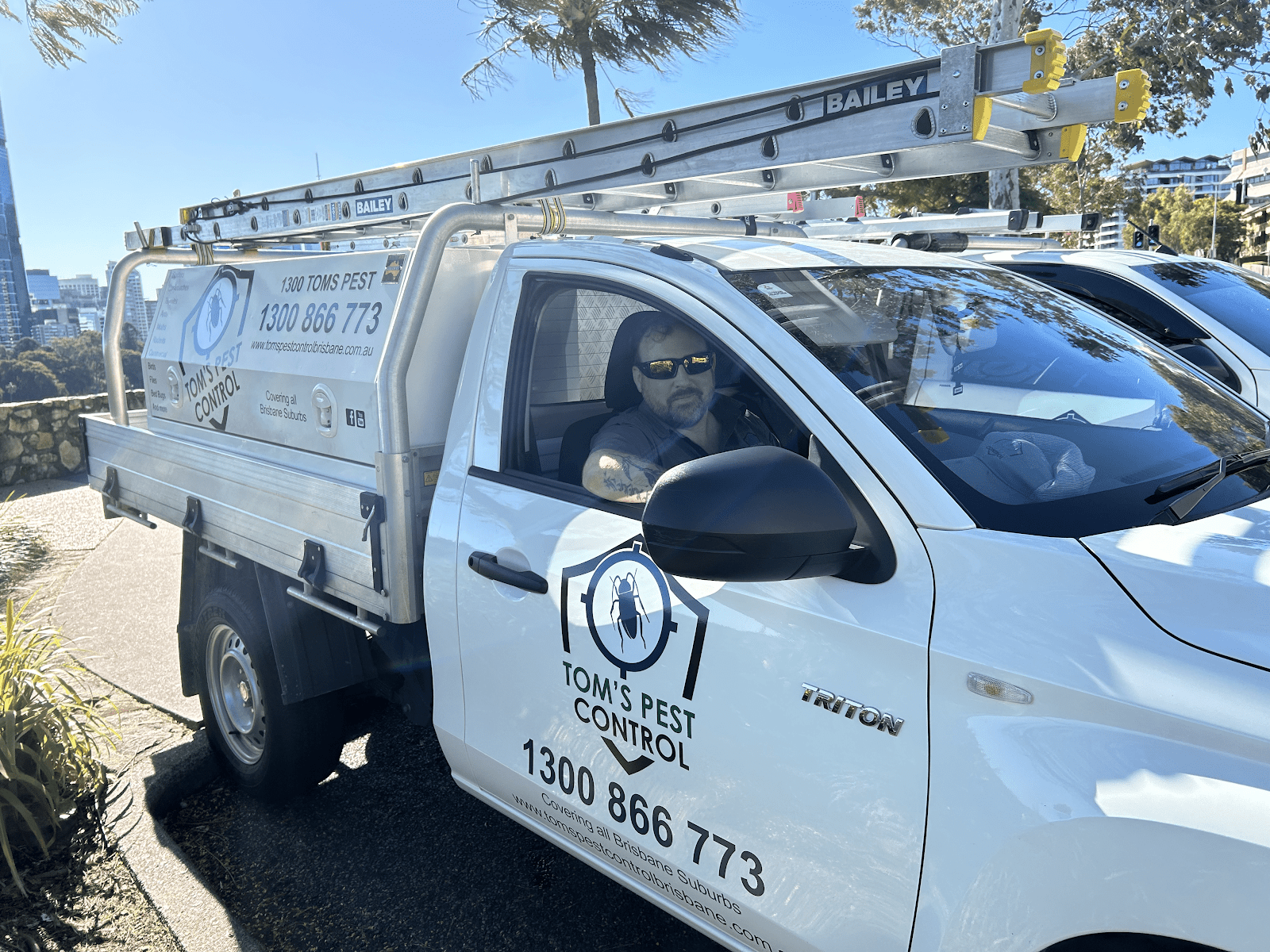 Tom's Pest Control Brisbane, pest-control in brisbane